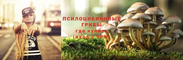 твердый Абаза