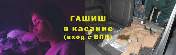 твердый Абаза