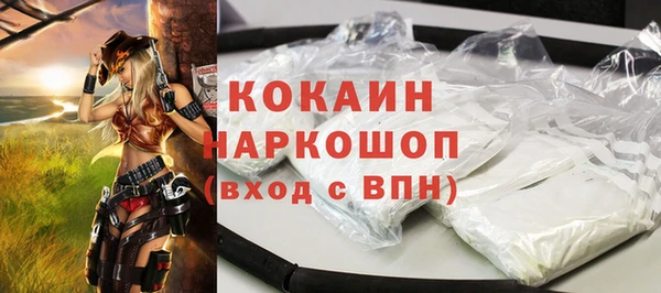 дживик Пересвет
