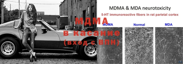 дживик Пересвет
