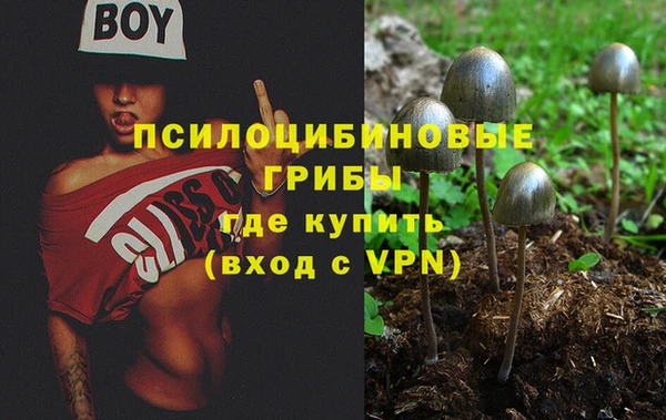 твердый Абаза